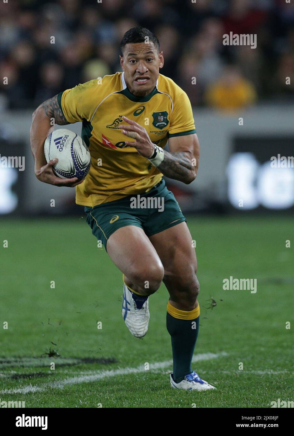 Eden park rugby boots cheap